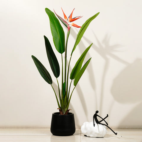 Striking Beauty: 3.2 Feet Tall Real Touch Strelitzia with Flower (Without Pot)