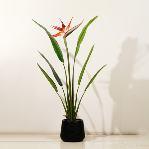 Artificial Trees/Plants Striking Beauty: 3.2 Feet Tall Real Touch Strelitzia with Flower (Without Pot)