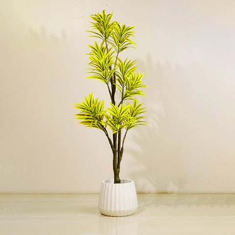 Song of India - 5 Feet Tall Artificial Dracaena Reflexa Plant