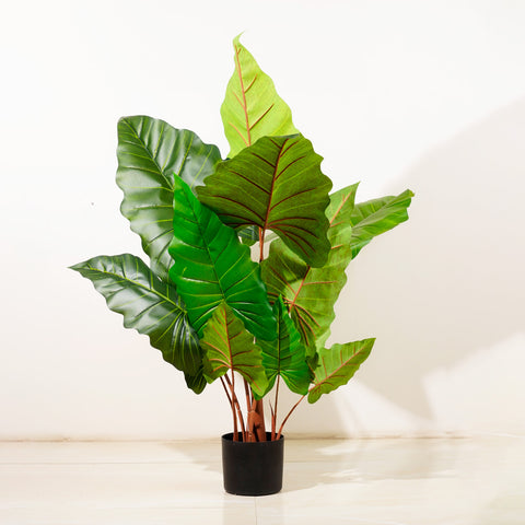 Alocasia Symphony - 4 Feet Tall Artificial Alocasia (With Black Base Pot)