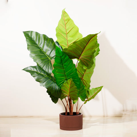 Alocasia Symphony - 4 Feet Tall Artificial Alocasia (With Black Base Pot)