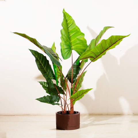 Alocasia Symphony - 4 Feet Tall Artificial Alocasia (With Black Base Pot)