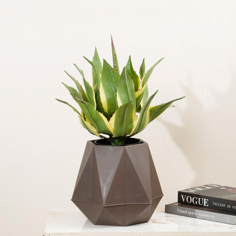 Desert Elegance - 1.5 Feet Tall Artificial Agave Plant