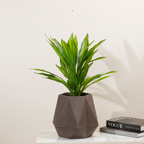 Verdant Harmony - 1.8 Feet Tall Dracaena Artificial Plant