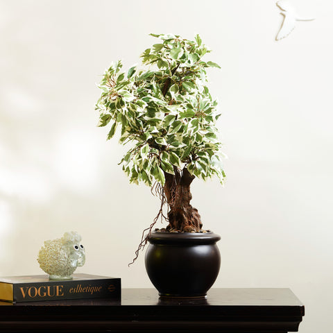 Whispers of Nature - Artificial Ficus Plant ~ 2 Feet Tall