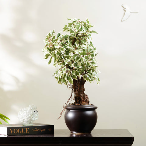 Whispers of Nature - Artificial Ficus Plant ~ 2 Feet Tall