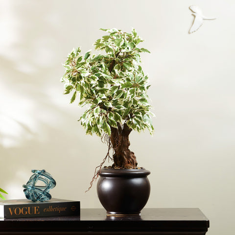 Whispers of Nature - Artificial Ficus Plant ~ 2 Feet Tall