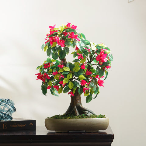 Blossoms of Bliss ~ Small Artificial Bougainvillea Plant ~ 1.5 Feet Tall