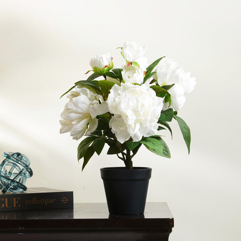 Winter's Bloom - Peony Artificial Plant ~ 1.5 Feet Tall