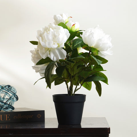 Winter's Bloom - Peony Artificial Plant ~ 1.5 Feet Tall