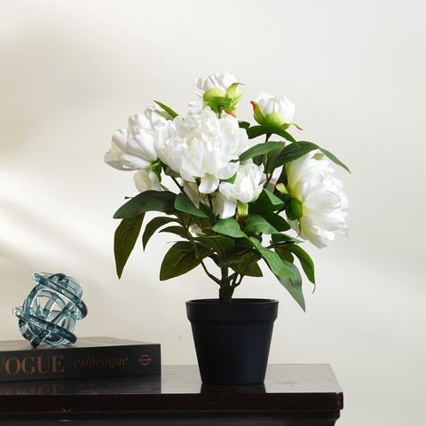 Winter's Bloom - Peony Artificial Plant ~ 1.5 Feet Tall