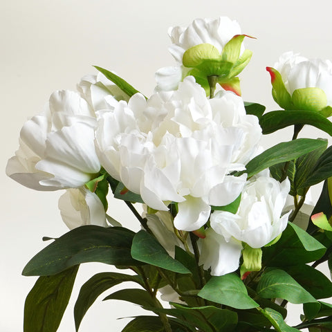 Winter's Bloom - Peony Artificial Plant ~ 1.5 Feet Tall