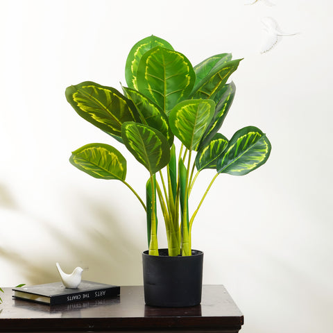 Lush Harmony - Calathea Artificial Plant ~ 2 Feet Tall