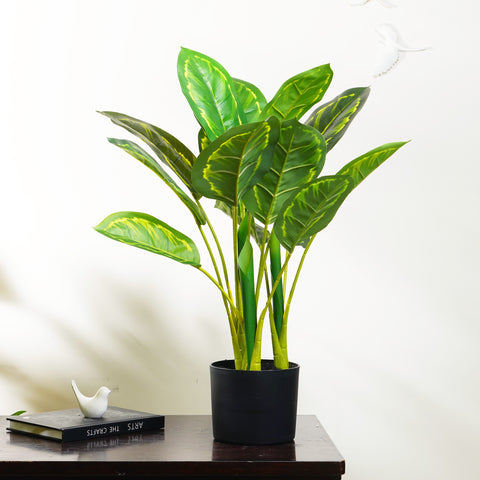 Lush Harmony - Calathea Artificial Plant ~ 2 Feet Tall