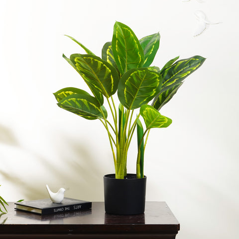 Lush Harmony - Calathea Artificial Plant ~ 2 Feet Tall