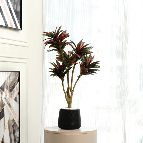 Dracaena Dreamscape ~ 3 Feet Tall Artificial Dracaena Plant