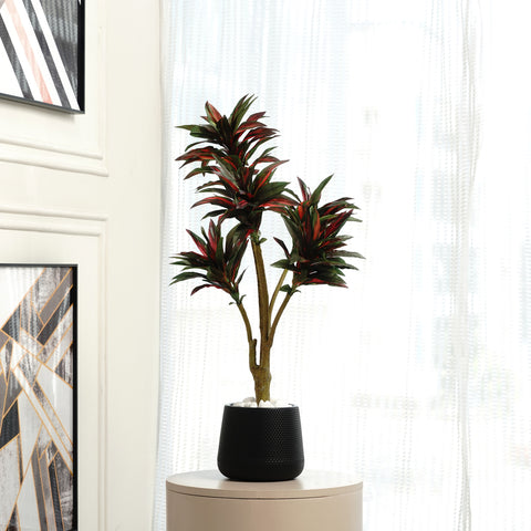 Dracaena Dreamscape ~ 3 Feet Tall Artificial Dracaena Plant