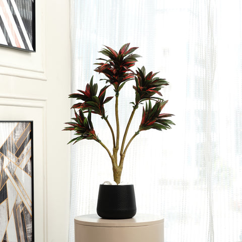 Dracaena Dreamscape ~ 3 Feet Tall Artificial Dracaena Plant