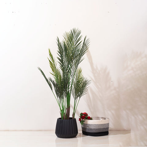 Botanicals of Achievement- Areca Artificial Palms - 4.2 Feet Tall